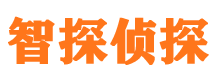 名山市私家侦探